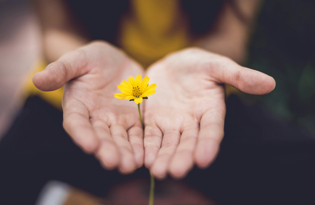 A Girl holding a yellow flower