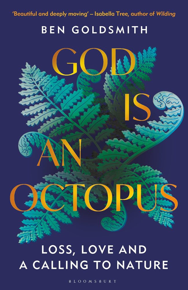 God Is An Octopus FC book cover